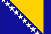 ボスニアヘルツェゴビナの旗