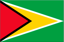 ガイアナの旗