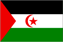 西サハラの旗