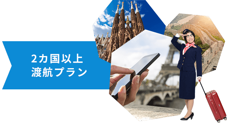 2カ国以上で利用