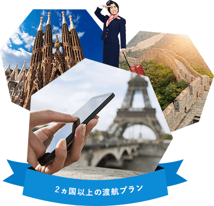 2カ国以上で利用