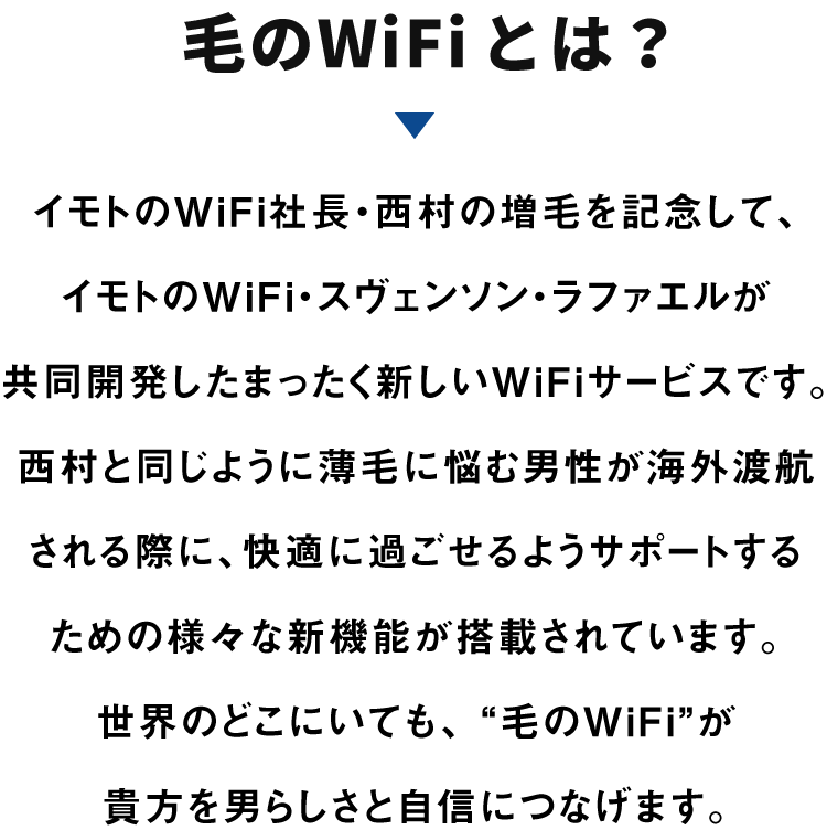 毛のWiFiとは？