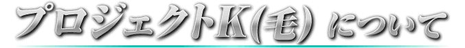 プロジェクトK(毛)について